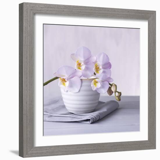 Orchid Dream-Assaf Frank-Framed Giclee Print