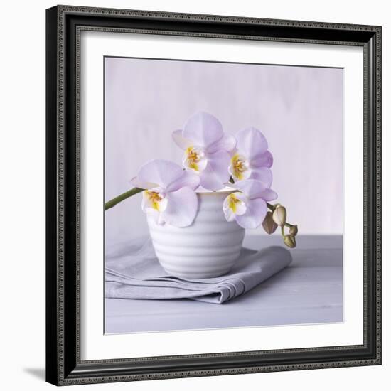Orchid Dream-Assaf Frank-Framed Giclee Print