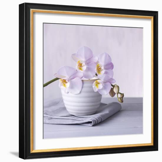 Orchid Dream-Assaf Frank-Framed Giclee Print