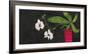Orchid Duet-Susan Brown-Framed Giclee Print