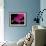 Orchid Essence II-Monika Burkhart-Framed Photo displayed on a wall