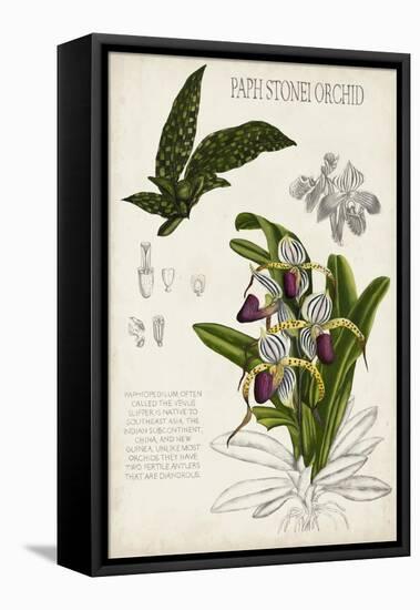 Orchid Field Notes I-Naomi McCavitt-Framed Stretched Canvas