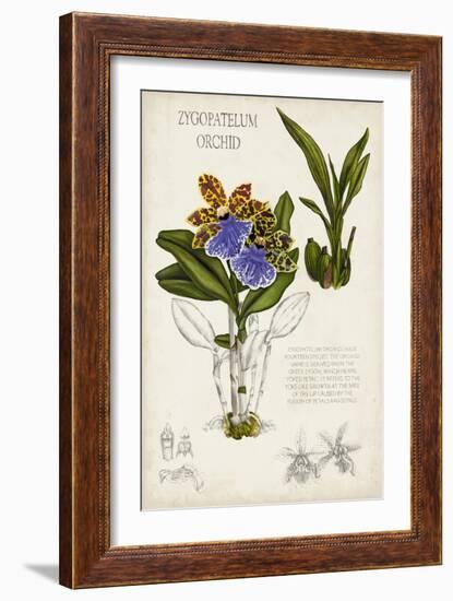 Orchid Field Notes II-Naomi McCavitt-Framed Art Print