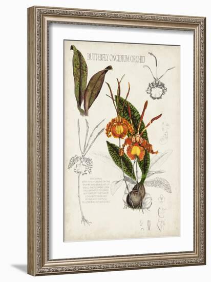 Orchid Field Notes IV-Naomi McCavitt-Framed Art Print