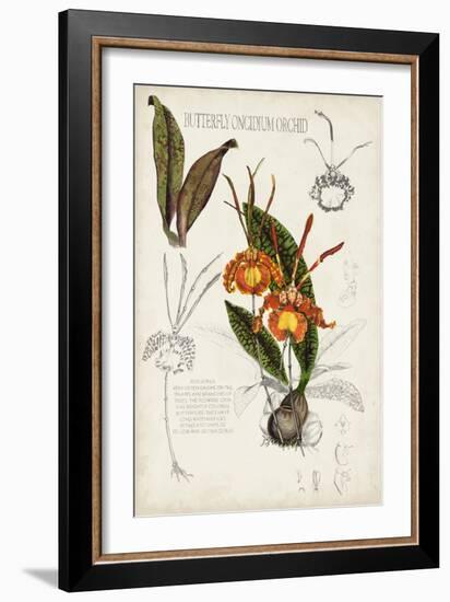 Orchid Field Notes IV-Naomi McCavitt-Framed Art Print