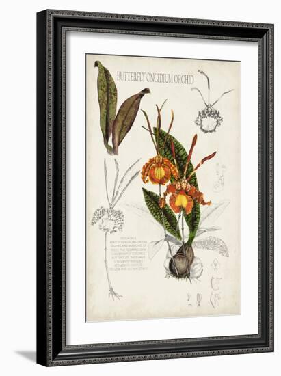 Orchid Field Notes IV-Naomi McCavitt-Framed Art Print