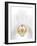 Orchid Flower (family Orchidaceae)-Gavin Kingcome-Framed Photographic Print