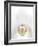 Orchid Flower (family Orchidaceae)-Gavin Kingcome-Framed Photographic Print