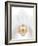Orchid Flower (family Orchidaceae)-Gavin Kingcome-Framed Photographic Print