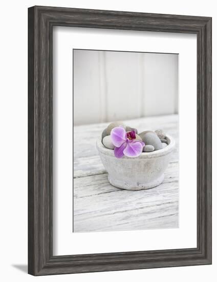 Orchid Flower, Shell, Pebbles-Andrea Haase-Framed Premium Photographic Print