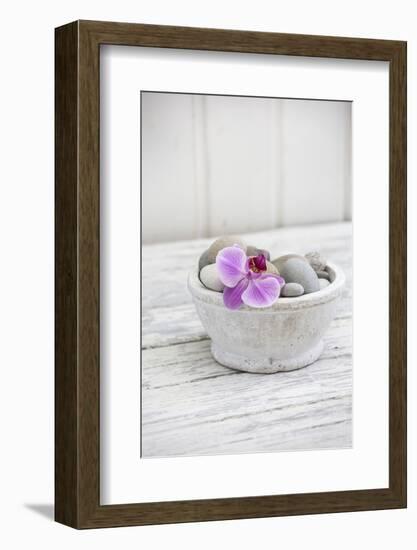 Orchid Flower, Shell, Pebbles-Andrea Haase-Framed Premium Photographic Print