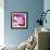 Orchid Flowers-Johnny Greig-Framed Premium Photographic Print displayed on a wall