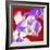 Orchid Flowers-Johnny Greig-Framed Premium Photographic Print