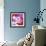 Orchid Flowers-Johnny Greig-Framed Premium Photographic Print displayed on a wall