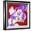 Orchid Flowers-Johnny Greig-Framed Premium Photographic Print