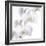 Orchid Flowers-Johnny Greig-Framed Premium Photographic Print