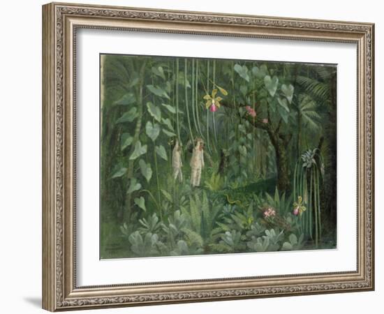 Orchid Hunters of Brazil, 1950 (oil on canvas)-null-Framed Giclee Print