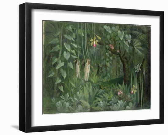 Orchid Hunters of Brazil, 1950 (oil on canvas)-null-Framed Giclee Print