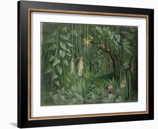 Orchid Hunters of Brazil, 1950 (oil on canvas)-null-Framed Giclee Print