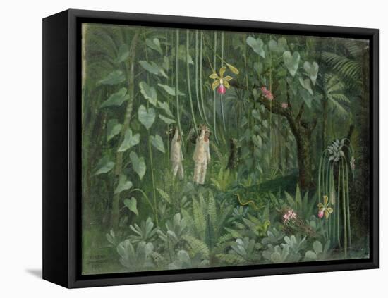 Orchid Hunters of Brazil, 1950 (oil on canvas)-null-Framed Premier Image Canvas