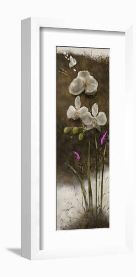 Orchid I-Rick Novak-Framed Art Print