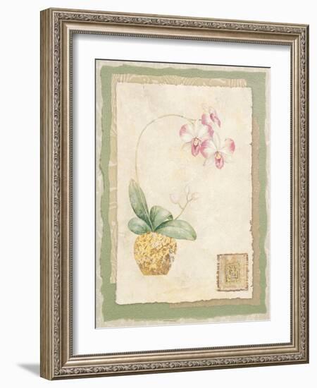 Orchid I-Pamela Gladding-Framed Art Print