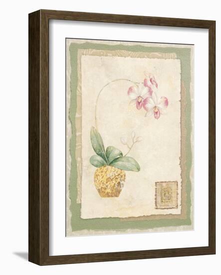 Orchid I-Pamela Gladding-Framed Art Print