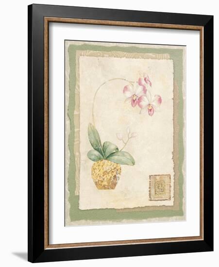Orchid I-Pamela Gladding-Framed Art Print