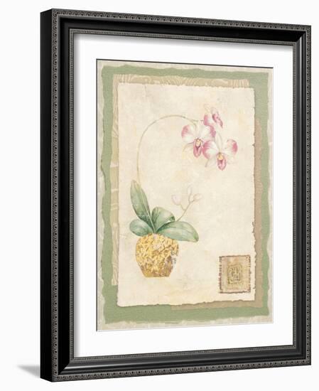 Orchid I-Pamela Gladding-Framed Art Print