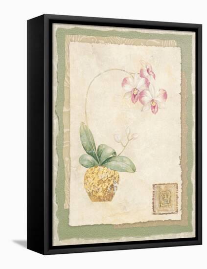 Orchid I-Pamela Gladding-Framed Stretched Canvas