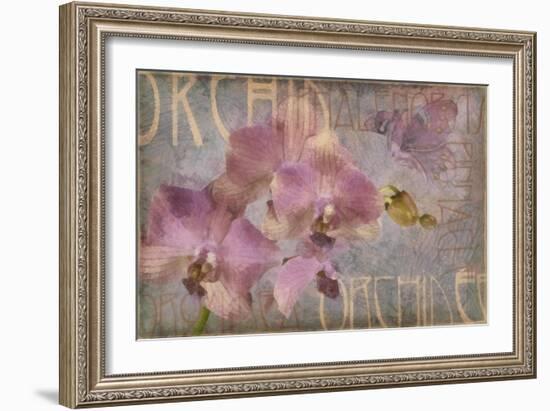 Orchid I-Cora Niele-Framed Giclee Print