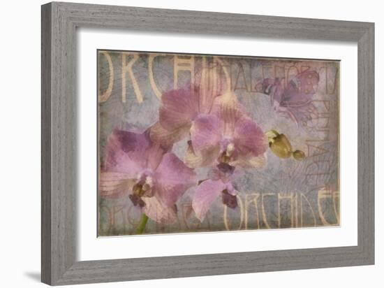 Orchid I-Cora Niele-Framed Giclee Print