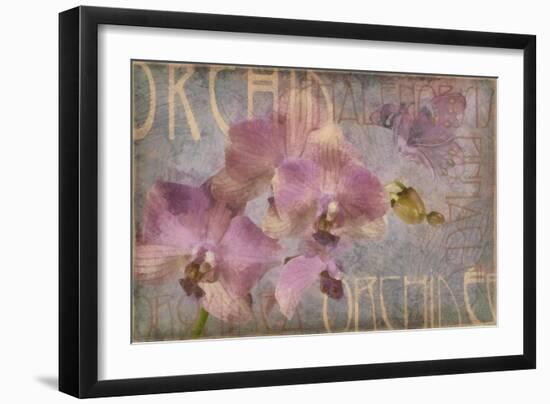 Orchid I-Cora Niele-Framed Giclee Print