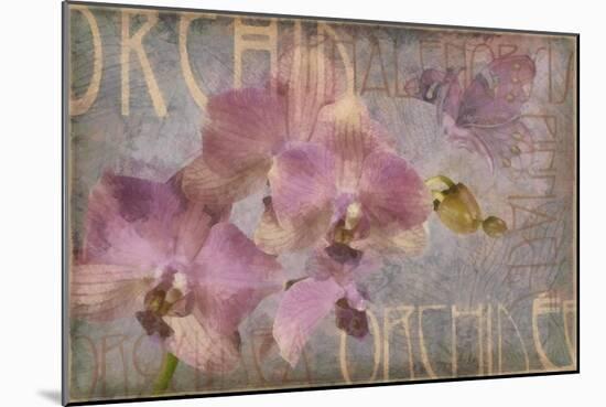 Orchid I-Cora Niele-Mounted Giclee Print