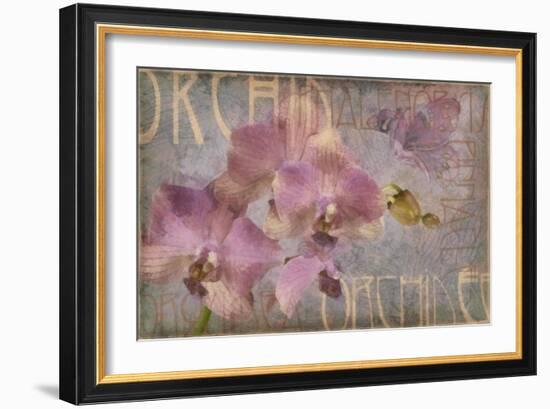 Orchid I-Cora Niele-Framed Giclee Print