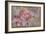 Orchid I-Cora Niele-Framed Giclee Print