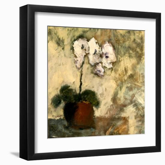 Orchid II-Bagnato Judi-Framed Art Print
