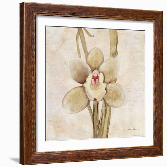 Orchid II-Cheri Blum-Framed Art Print