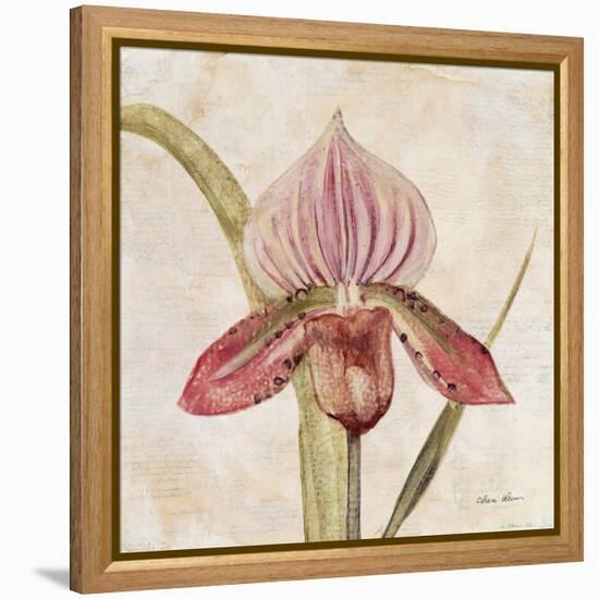 Orchid III-Cheri Blum-Framed Stretched Canvas