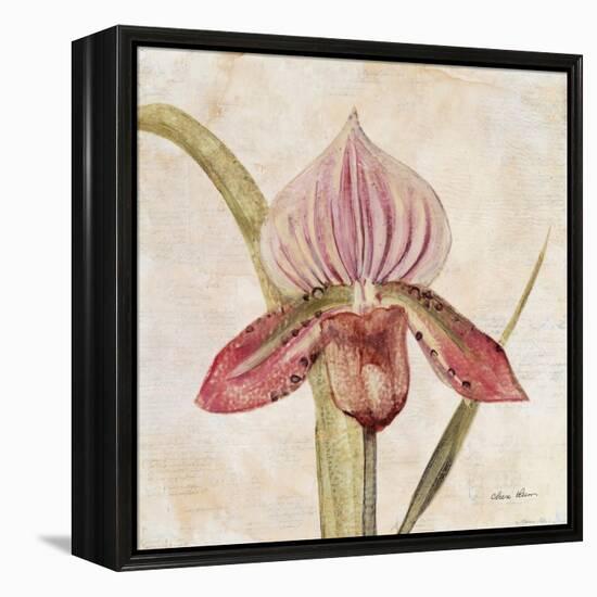 Orchid III-Cheri Blum-Framed Stretched Canvas