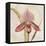 Orchid III-Cheri Blum-Framed Stretched Canvas