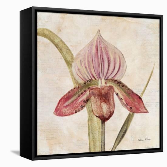 Orchid III-Cheri Blum-Framed Stretched Canvas