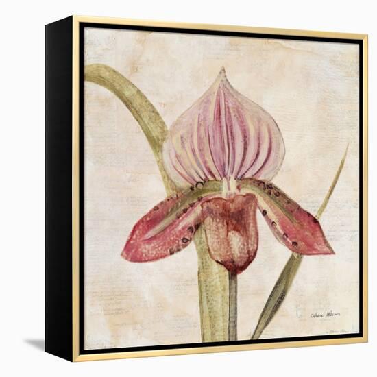 Orchid III-Cheri Blum-Framed Stretched Canvas