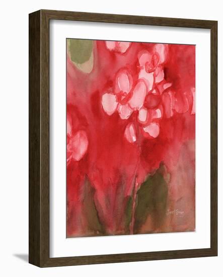 Orchid in Allzarin Crimson, C.2017 (Watercolor on Paper)-Janel Bragg-Framed Giclee Print