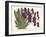 Orchid in Purple-A^ Poiteau-Framed Premium Giclee Print