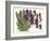 Orchid in Purple-A^ Poiteau-Framed Premium Giclee Print