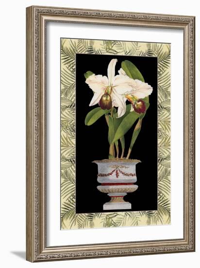 Orchid in Urn I-Deborah Bookman-Framed Art Print