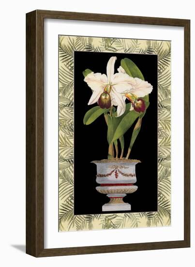 Orchid in Urn I-Deborah Bookman-Framed Art Print