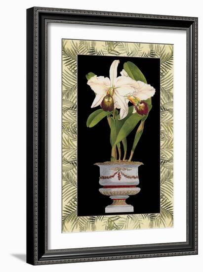 Orchid in Urn I-Deborah Bookman-Framed Art Print