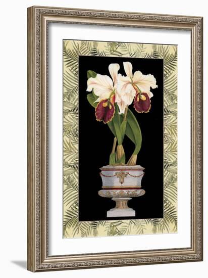 Orchid in Urn II-Deborah Bookman-Framed Art Print